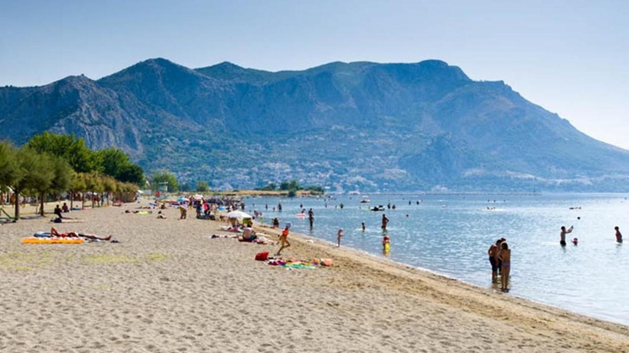Beach Apartments "Bili Cvitak" Duće Buitenkant foto